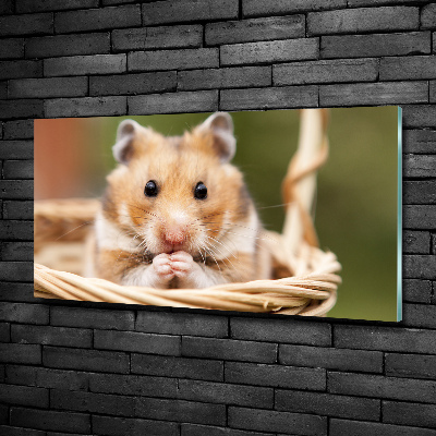 Glazen schilderij Hamster in een mandje