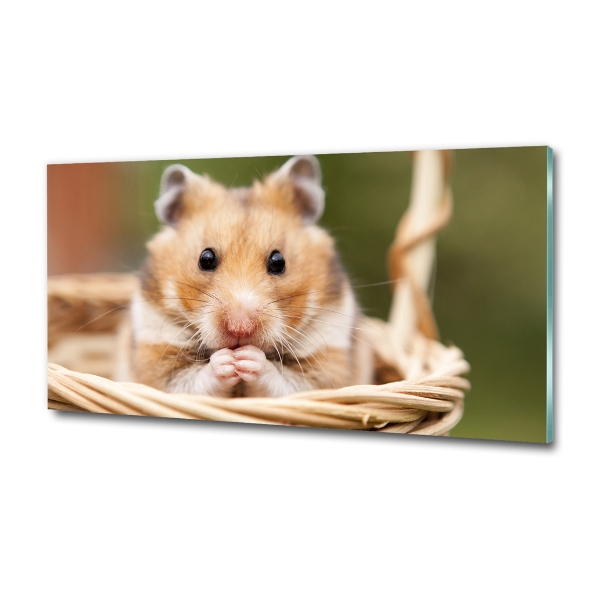 Glazen schilderij Hamster in een mandje
