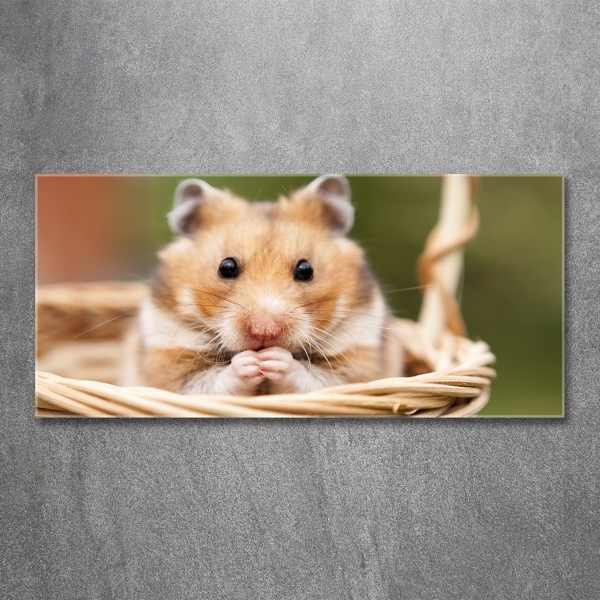 Glazen schilderij Hamster in een mandje