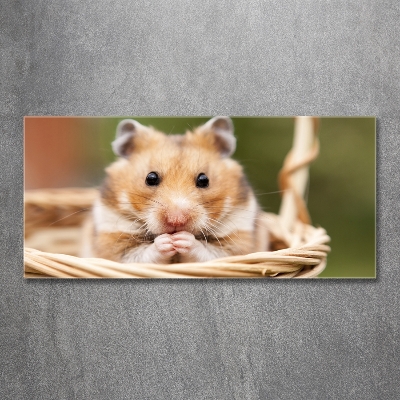 Glazen schilderij Hamster in een mandje