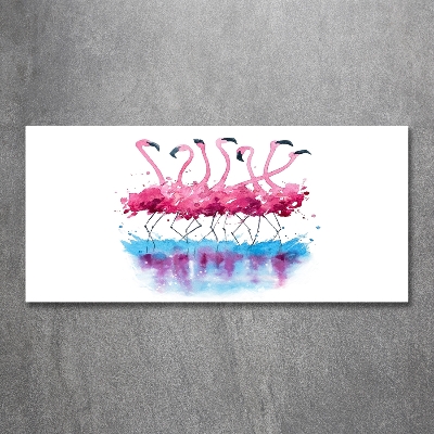 Foto schilderij op glas Flamingo's