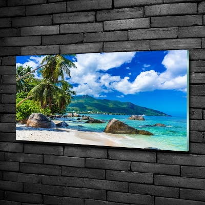 Foto schilderij op glas strand op de Seychellen