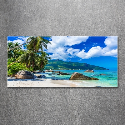 Foto schilderij op glas strand op de Seychellen