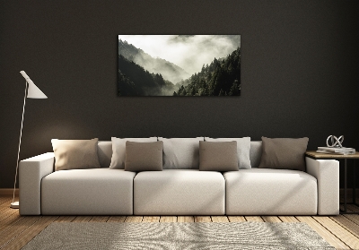 Foto schilderij op glas Mist boven het bos