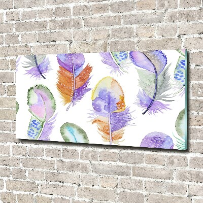 Foto schilderij op glas Kleurrijke veren