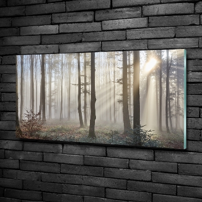 Foto schilderij op glas Mist in het bos