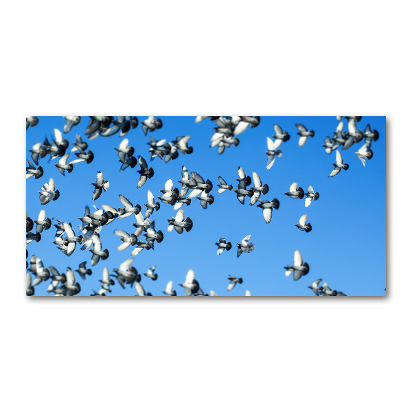 Schilderij op glas Een zwerm duiven