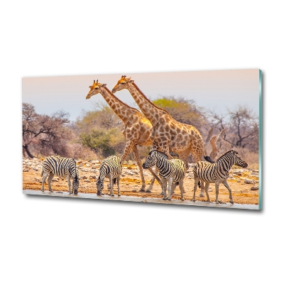Schilderij glas Giraffen en zebra's