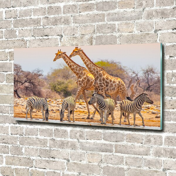 Schilderij glas Giraffen en zebra's