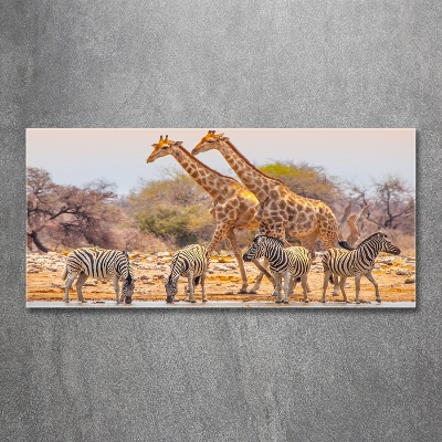 Schilderij glas Giraffen en zebra's