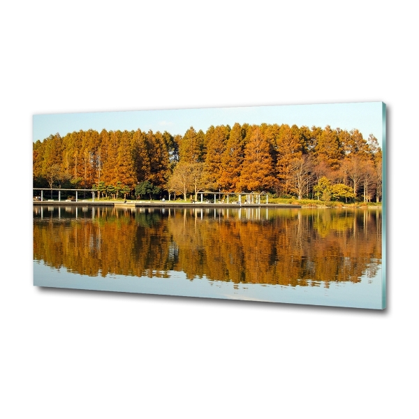 Schilderij glas Bos aan het meer