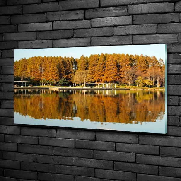 Schilderij glas Bos aan het meer