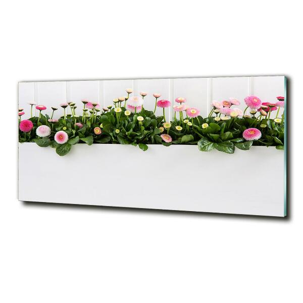 Glazen schilderij Roze madeliefjes