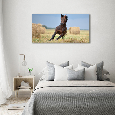 Glazen schilderij Een galopperend paard