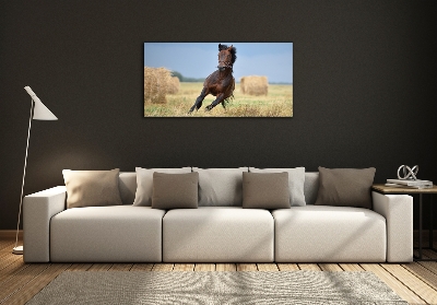 Glazen schilderij Een galopperend paard
