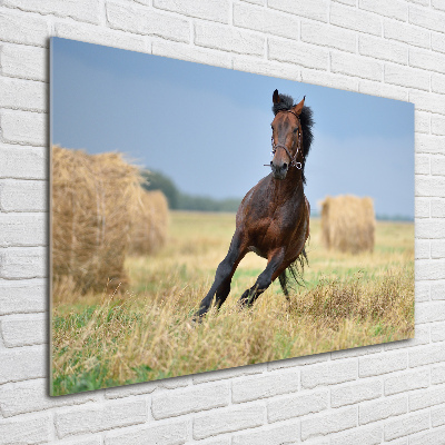 Glazen schilderij Een galopperend paard