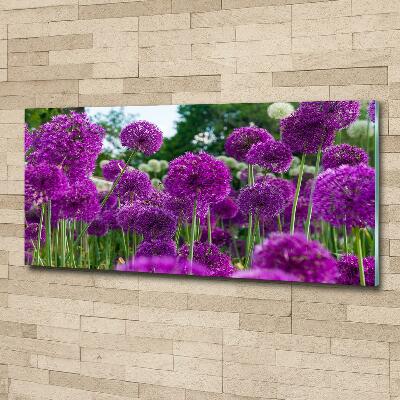 Schilderij op glas Knoflookbloemen