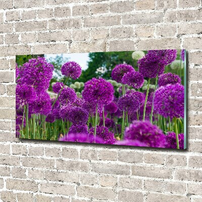 Schilderij op glas Knoflookbloemen