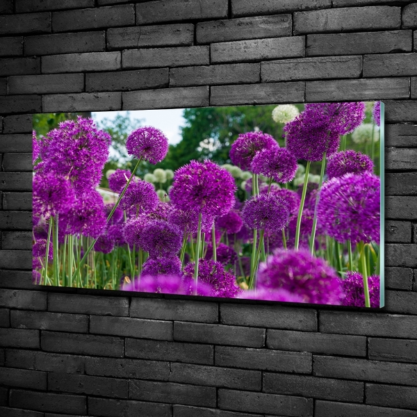 Schilderij op glas Knoflookbloemen