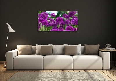 Schilderij op glas Knoflookbloemen