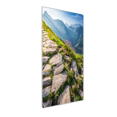 Verticale glasfoto Bergpad