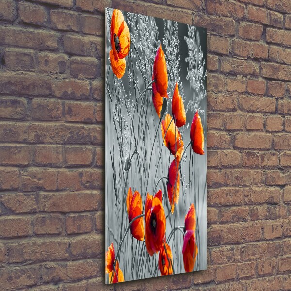 Verticale foto op glas Klaprozen