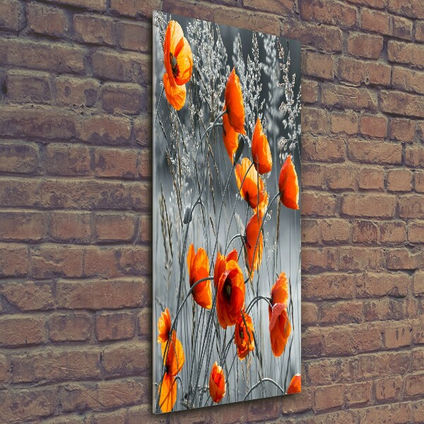 Verticale glasfoto Klaprozen