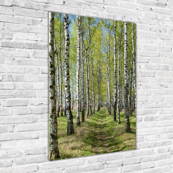 Verticale foto op glas Berkenbos