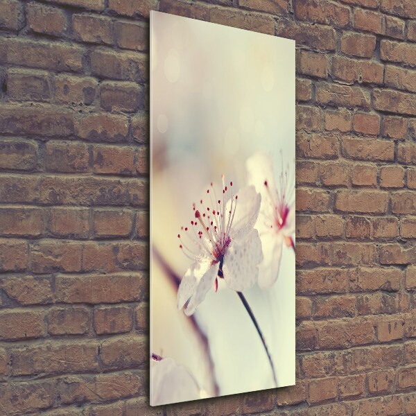 Verticale glasfoto Kersenbloesems