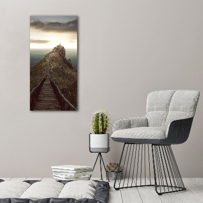 Verticale foto op glas Pad op de rots