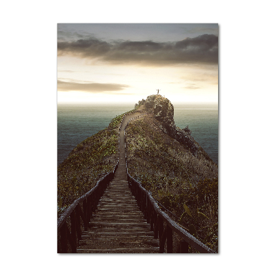 Verticale foto op glas Pad op de rots