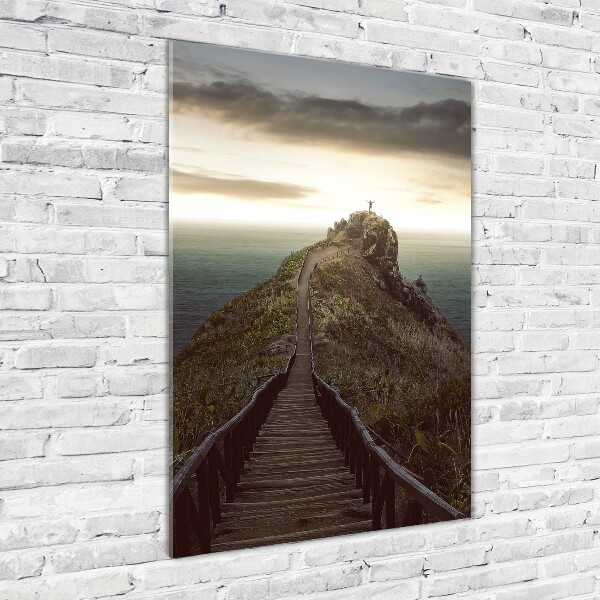 Verticale foto op glas Pad op de rots