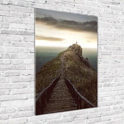 Verticale foto op glas Pad op de rots