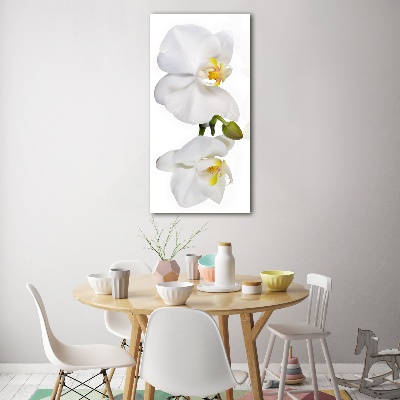 Verticale foto op glas Witte orchidee