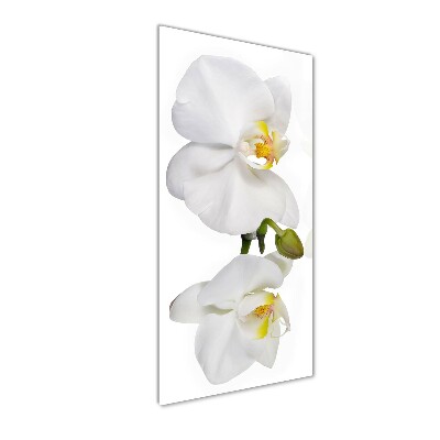 Verticale foto op glas Witte orchidee