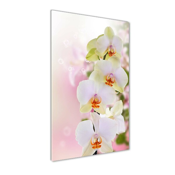 Verticale glasfoto Witte orchidee