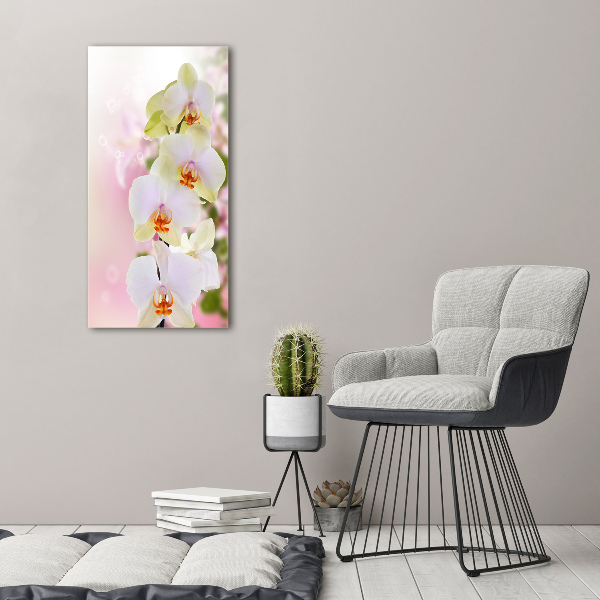 Verticale glasfoto Witte orchidee