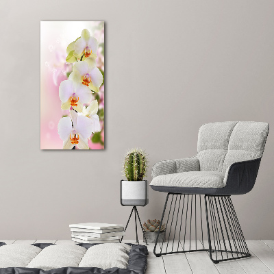 Verticale glasfoto Witte orchidee