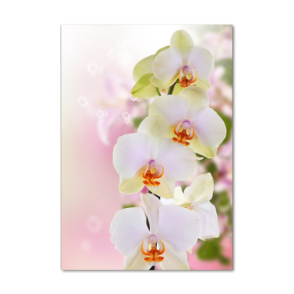 Verticale glasfoto Witte orchidee