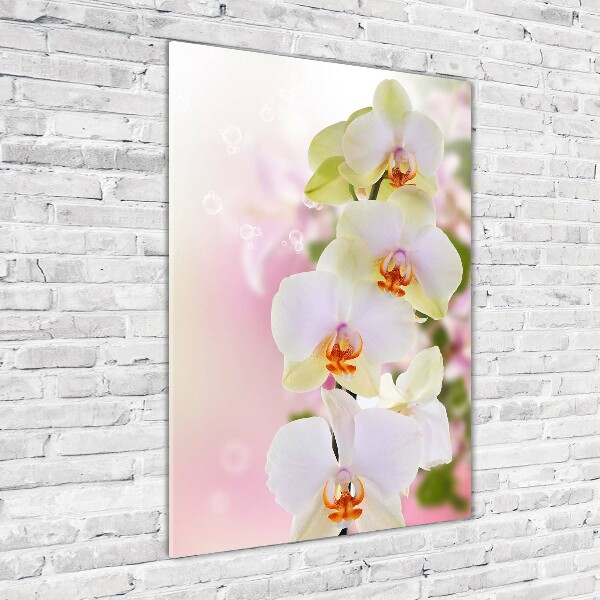 Verticale glasfoto Witte orchidee