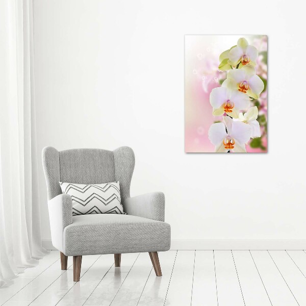 Verticale glasfoto Witte orchidee