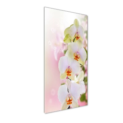 Verticale glasfoto Witte orchidee