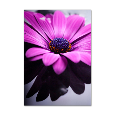 Verticale glasfoto Roze gerbera