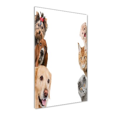 Verticale glasfoto Honden en katten