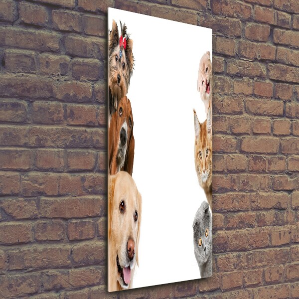 Verticale glasfoto Honden en katten