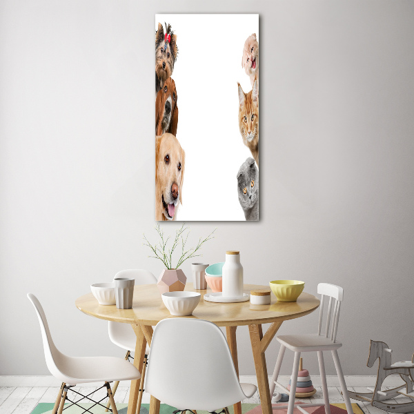 Verticale glasfoto Honden en katten
