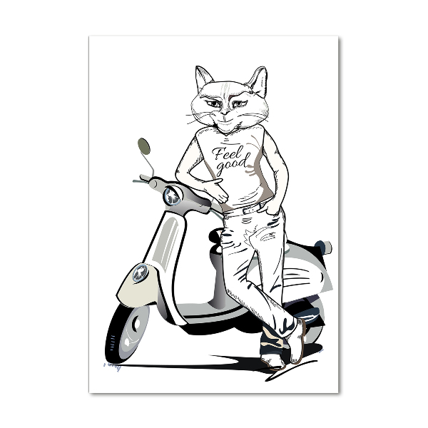 Verticale foto op glas Kattenman