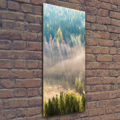 Verticale glasfoto Mist boven het bos