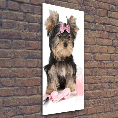 Verticale foto op glas Yorkshire cosmetica