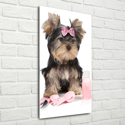 Verticale foto op glas Yorkshire cosmetica